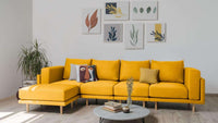 Mollia / FF-16: Yellow / Snemljive prevleke